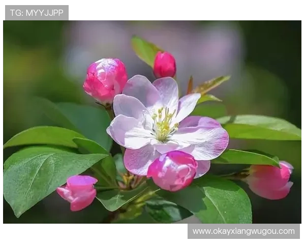 康莹：不止于美，更是生命力的绽放